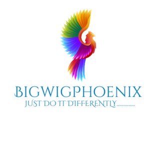 BIGWIGPHOENIX.COM